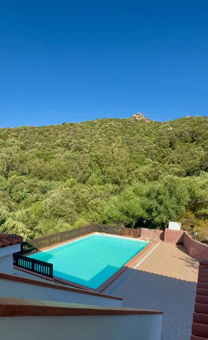 Pool & Garden