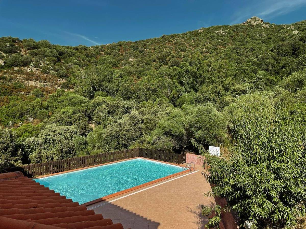 Pool & Garden